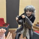 어린이 캣츠 | 분당 판교 아이와 가볼 만한 곳, 아이고고 가족뮤지컬 오리지널 어린이 CAT 추천