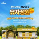 칠성교통㈜ 이미지