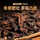 삼향-7 이미지