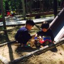 복룡산벌꿀농장 | 판산 판굿 PHANGOOD 리조트식 별장 후기