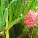 청솔농장 이미지