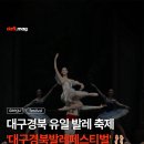 대구경북발레페스티벌 이미지