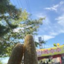 경호민박 이미지