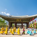 주식회사 여행사거리 네이버블로그