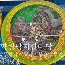 향림낙지한마당 이미지