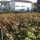 강남동-1 이미지