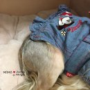 에이블동물병원 이미지