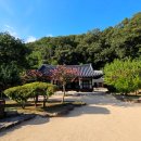한우산애천하장사 이미지