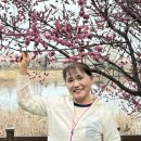 머리 염색 이미지
