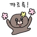 우리막창쌍사점 이미지