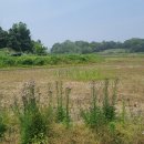 성현목장 이미지