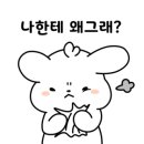 빨강호랭이 이미지