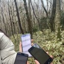 동백꽃식당 이미지