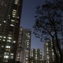 그랑블세탁소 | 김포 풍무동 푸르지오 아파트 골드라인 임장 시세 비행기