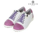 데니스골프 이미지