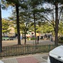 단구초등학교 | [뷰티로] 원주 단구동 속눈썹펌 vip펌(클리닉+틴팅) 후기