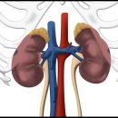 연세에덴요양병원 이미지