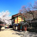 공주-59 이미지