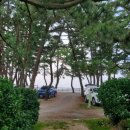 파인우드비치 이미지