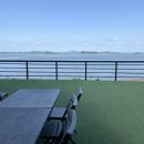 쏠플레오 이미지