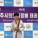 밀목태권도장 이미지