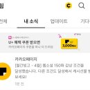 난리 부루스였던 내 한 주