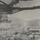 동항초등학교 이미지