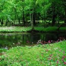 여산의 안개비(廬山煙雨) / 소동파(蘇東坡) 이미지