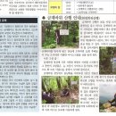 금계중학교 이미지