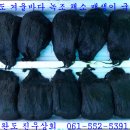 국용농장 이미지