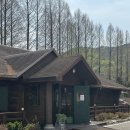 통나무산장 | 파주 드라이브 필수 코스, 통나무 산장 감성 카페 이즈바의 매력