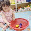 꿈나라 - 구로구 | 부모님이 믿고 맡기는 대전어린이집, 갈마동 꿈나라어린이집 진심 후기와 꿀팁