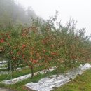 고향장모텔 이미지