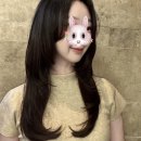일산 웨스턴돔 미용실 스페셜 아이디헤어 지니 수석실장님 레이어드펌 후기