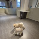 (주)라인하트 이미지