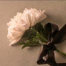 새금산장례식장 이미지