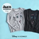 에이치커넥트 카카오 검색결과