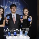 (주)베가통신 이미지