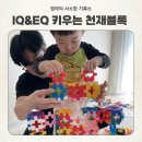 두돌 아기도 자기주도놀이가 가능한 뉴꼬마 천재블록! 소근육발달은 덤!
