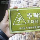 사인몰 이미지