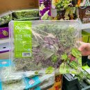 샐러드와 이미지