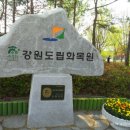 강원꽃식물원 이미지