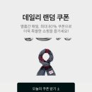 SSF샵 블랙프라이데이 비이커 쇼핑 후기 (ft.꼼데가르송 가디건 세일)