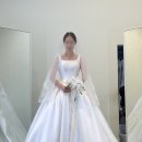비바샵 | W4. 대구 노비아갈라 동촌 연계샵 디어비바 드레스 피팅후기(1차+2차)