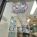 멍멍이간식팔고양
