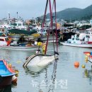 사천 팔포항 뉴스사천