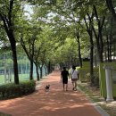 마들테니스장 이미지