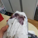 안성 오하농원(거봉)황당 후기