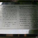 상주 남장사 보광전 목각아미타여래설법상 이미지