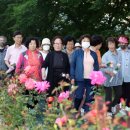 장미꽃길 2 이미지